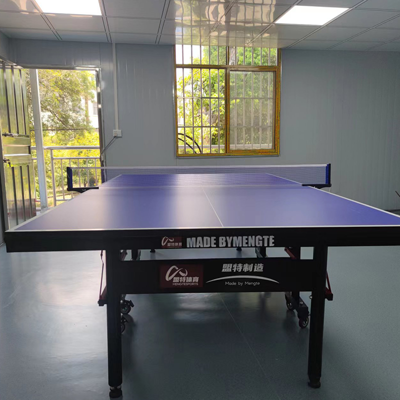室内折叠乒乓球台白色2560
